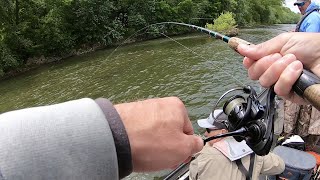 Fishing the Potomac River for BIG Smallmouth Bass [upl. by Brynna]