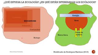 Visión Holística y Reduccionista en Ecología [upl. by Quackenbush]