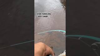 Creek fishing for big bass shorts [upl. by Kinom]