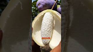 Beautiful and sugar fruit viralvideo trending fruit fruitcutting shorts satisfying india [upl. by Kittie]