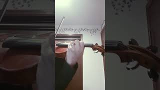 Arensky Violin Concerto Op54 I Allegro [upl. by Janel443]