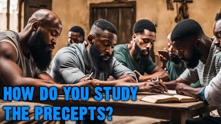 How Do you Study Precepts  Israelite Teaching [upl. by Erihppas]