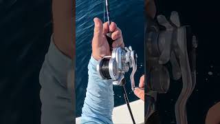 Tiny Setup Catches One of the STRONGEST Fish in the World [upl. by Aehtorod]