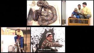 Leon Schuster  Snake prank：Most dangerous snake escapes in a pet shop [upl. by Nnasor]