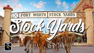 Fort Worth Stockyards  Cowboy Experience [upl. by Yorgen923]