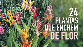 24 PLANTAS de MUITA FLOR pra ter no JARDIM [upl. by Ardnic]