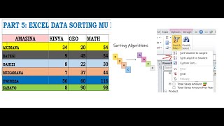 FIATECH EP 8 EXCEL DATA SORTING  Gushyira kuri ALPHABET  MUKINYARWANDA [upl. by Aralomo]