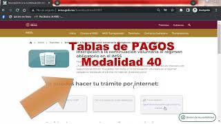 Cómo Consultar la Tabla de Pagos 💰 de Modalidad 40 IMSS 2024  LIMITE ¿Cuánto DEBO pagar ❤️ [upl. by Alidus]