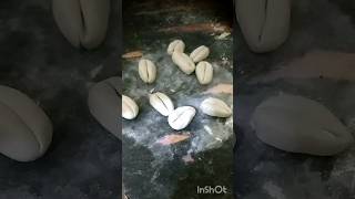 Diy cowrie shells😱How to make thisart viralshorts song cowrieshell [upl. by Woermer]