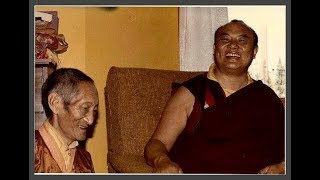 HH the 16th Karmapa and Kalu Rinpoche in Denmark 1974 [upl. by Gustin]