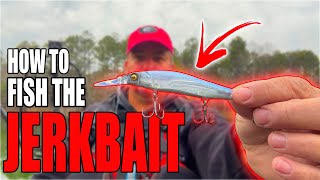 The Ultimate Guide To Jerkbait Fishing Tips and Tricks [upl. by Cargian]