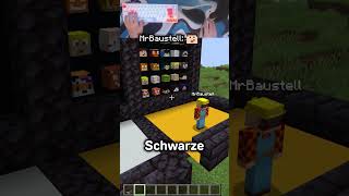 WER BIN ICH YOUTUBER EDITION mit MrBaustell minecraftshorts shorts [upl. by Eirovi]