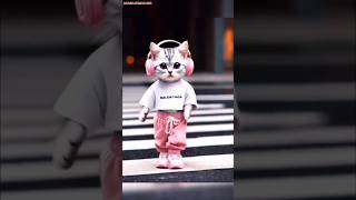 Cute Cat Video Dekhkar Aapko Kaisa Laga shrots cat cutecat animals AKASHKUMAR220 [upl. by Erida]