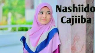 Nashiido macaan  HD  beautiful Nasheed subscribe wll 🙏 [upl. by Nifares887]