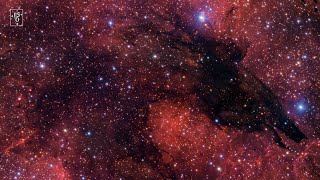 Panning Across the Dark Wolf Nebula [upl. by Ayotol176]