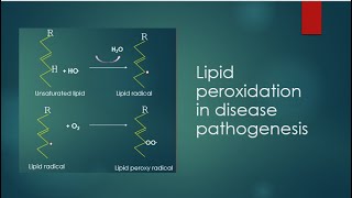 Lipid peroxidation in disease pathogenesisMolecular ScienceDr Seema Kumari [upl. by Elyc]