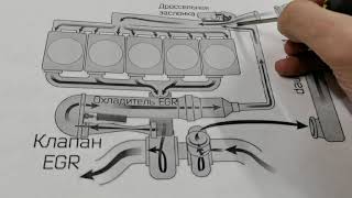 Как работает клапан ЕГР [upl. by Mylan]