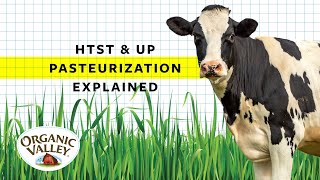 UP and HTST Pasteurization Explained  Ask Organic Valley [upl. by Leis]