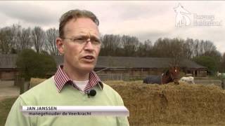 Rhinovirus strop voor manege Heumen [upl. by Allemrac]