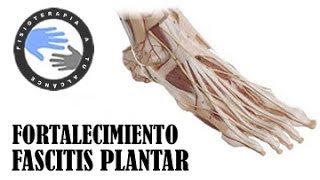 Fascitis plantar ejercicios de fortalecimiento [upl. by Suirad]