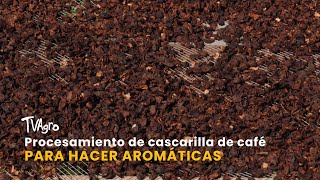 Procesamiento de cascarilla de café para hacer aromáticas TvAgro por Juan Gonzalo Angel Restrepo [upl. by Oinotnanauj]