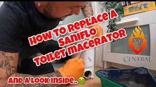 HOW TO REPLACE A SANIFLO Toilet macerator [upl. by Ahsuas]