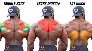 TOP 5 LAT MIDDLE BACK AND TRAPS WORKOUT WITH DUMBBELLS ONLY AT HOME OR GYM [upl. by Byram787]