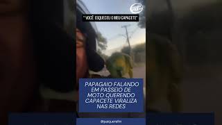 Papagaio Fala quotVocê Esqueceu Meu Capacetequot e Viraliza nas Redes [upl. by Morrissey]