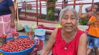 TEMPORADA DE CIRUELAS EN LOS PUEBLOS DE GUERRERO MEX  DE RUTA X LA COSTA CHICA SAN MARCOS [upl. by Ahsilak453]