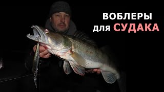 СУДАК КЛЮЕТ КАК ИЗ ПУЛЕМЕТА Ночная РЫБАЛКА на СУДАКА с Лодки WindBoat 42 EVO [upl. by Eniamerej793]