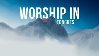 WORSHIP IN TONGUES \ SPEAKING IN TONGUES \ BAPTISM WITH THE HOLY SPIRIT [upl. by Noirred]