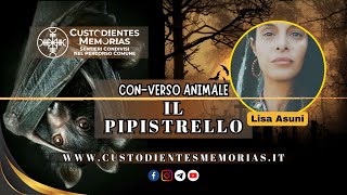 🔵 CONVERSO ANIMALE  IL PIPISTRELLO con Lisa Asuni [upl. by Maillliw125]