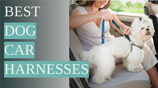 Top 5 Dog Car Harnesses for Safe and Secure Travel [upl. by Assele702]