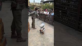 BDX DROID IMITATING BIRDS in Star Wars Galaxy’s Edge at Disneyland Park [upl. by Zeiger]