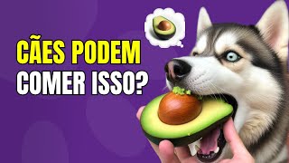 🍉FRUTAS PERMITIDAS PARA CÃES [upl. by Ahsoek]