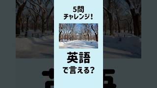 【これ全部英語で言える？】5問英会話｜寒い冬26～30 MimiListening 英語リスニング 英語聞き流し [upl. by Giulio]