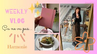 Weekly vlog Ca ne va pas [upl. by Manuel]