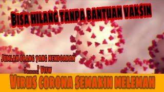 VIRUL CORONA SUDAH MAKIN MELEMAH [upl. by Vardon]