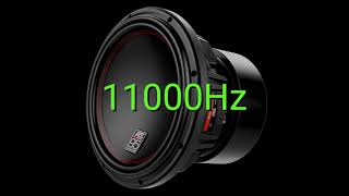 Tone frequency 11000Hz Test your hearing speakersheadphonessubwoofer [upl. by Suzzy897]