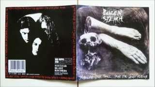 Pungent Stench  Intro  Extreme Deformity [upl. by Slemmer31]