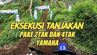 Yamaha YZ250FX VS YZ250X Enak Mana [upl. by Gerianne478]