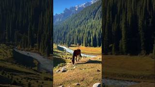 The stunningly beautiful and clean nature 😍💚  shortvideo youtube nature viralvideos [upl. by Sollars]