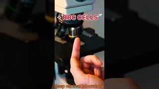 RBC CELLS SELF TEST youtubeshorts doctor laboratory shorts students [upl. by Margherita]