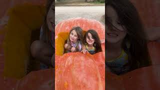 Firefighter breaks record for Colorados largest pumpkin—for third time this Fall [upl. by Eidnac]