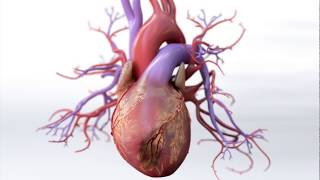 What is Coronary Artery Disease  Mechanism of Disease [upl. by Harlen]