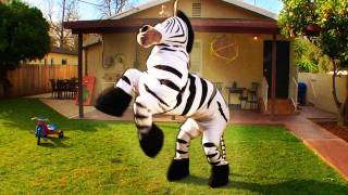 Dope Zebra  Rhett amp Link Official Original Video [upl. by Lingwood]