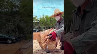 Wood Chopping  So Satisfying woodchopping relax [upl. by Sall]