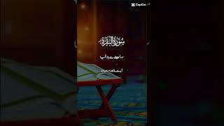 SuraheBaqra quranrecitation subhanallah subhanallahforeverything viralshort shortfeeds short [upl. by Esch664]