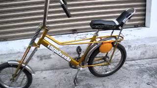 BICICLETA VAGABUNDO ORIGINAL [upl. by Netti]