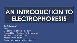 An Introduction to Electrophoresis [upl. by Ydnes]